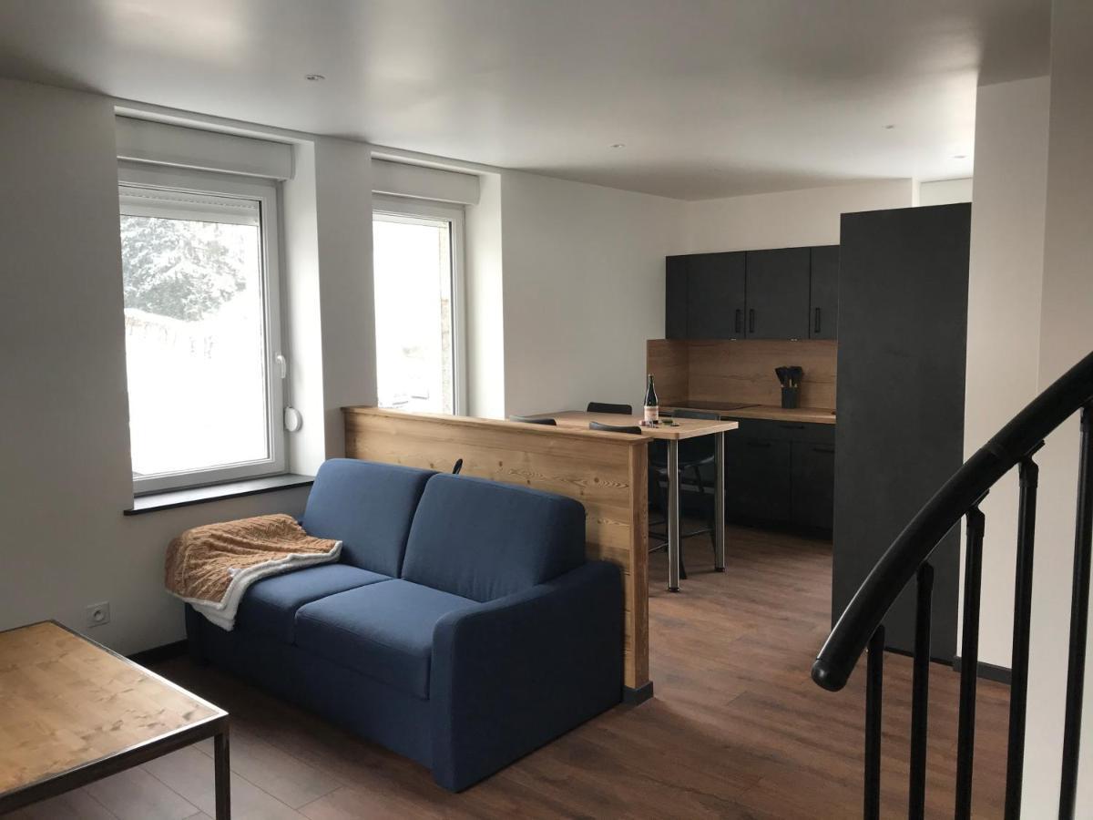 Le Duplex Apartment Gerardmer Bagian luar foto
